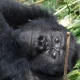 best-eco-adventure-safaris-in-uganda