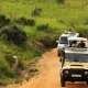 from-kigali-to-queen-elizabeth-national-park