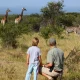 wildlife-and-cultural-tours-in-rwanda