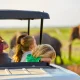 5-affordable-family-safari-packages-in-uganda