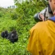how-to-plan-your-first-gorilla-trekking-safari-in-uganda