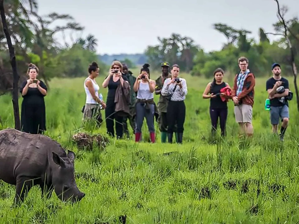 small-group-vs-private-safaris-in-uganda-and-rwanda