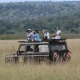 rwanda-in-5-days-the-perfect-short-safari-itinerary