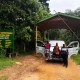 private-transfers-from-rwanda-to-rushaga-bwindi-national-park