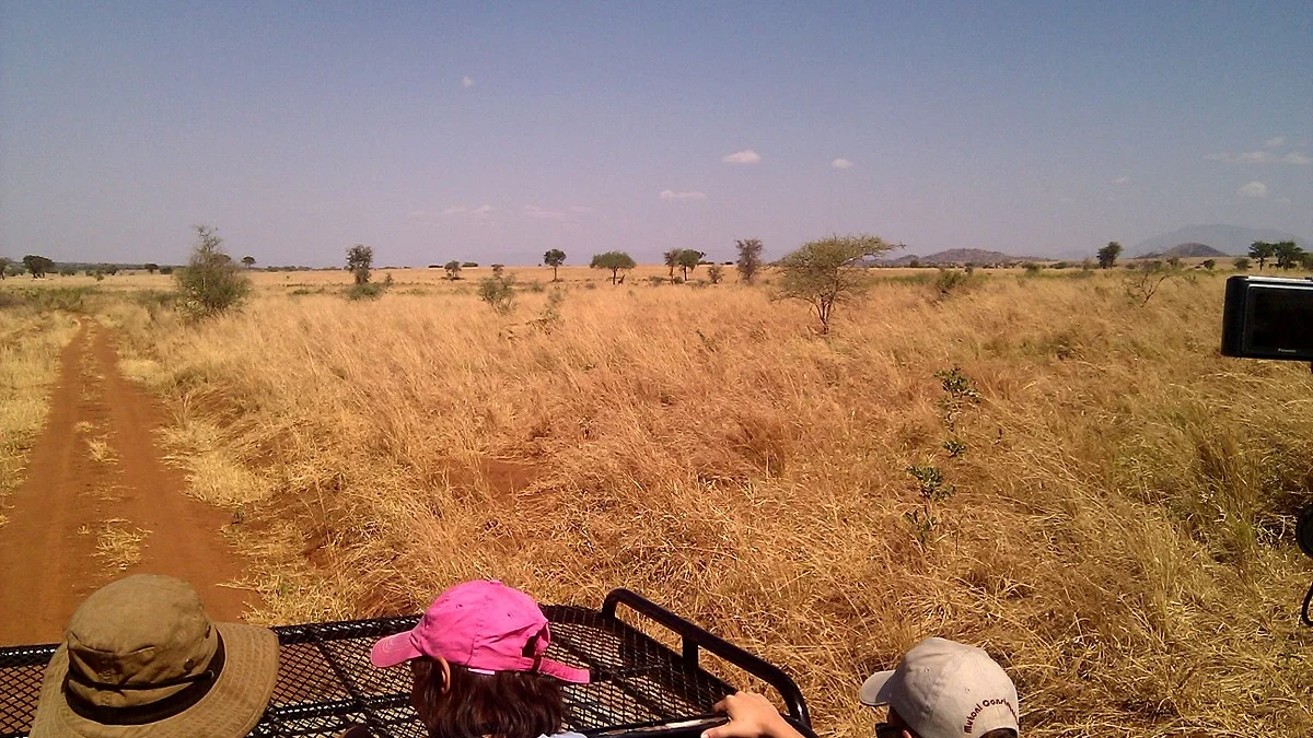 kidepo-valley-national-park-tour-packages