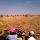 kidepo-valley-national-park-tour-packages