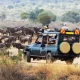 uganda-tours-combined-with-kenya-safari