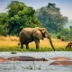 10-day-uganda-safari-itinerary