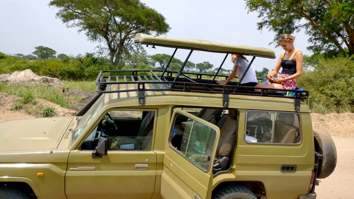 rwanda-safari-vs-uganda-safari