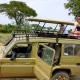 rwanda-safari-vs-uganda-safari