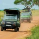 best-short-uganda-safaris-for-busy-travelers