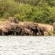 complete-guide-to-queen-elizabeth-national-park