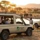how-many-days-do-you-need-for-a-safari-in-uganda