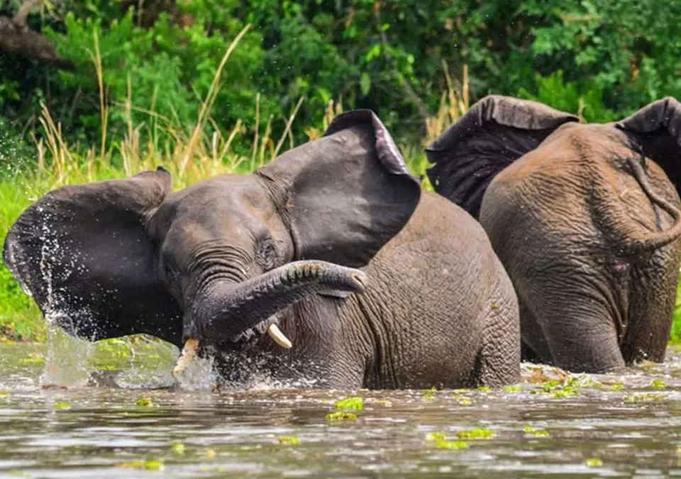 uganda-and-rwanda-safari-holidays-for-2026-2027-2028