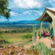 tented-camps-vs-lodges-in-uganda-whats-the-experience-like