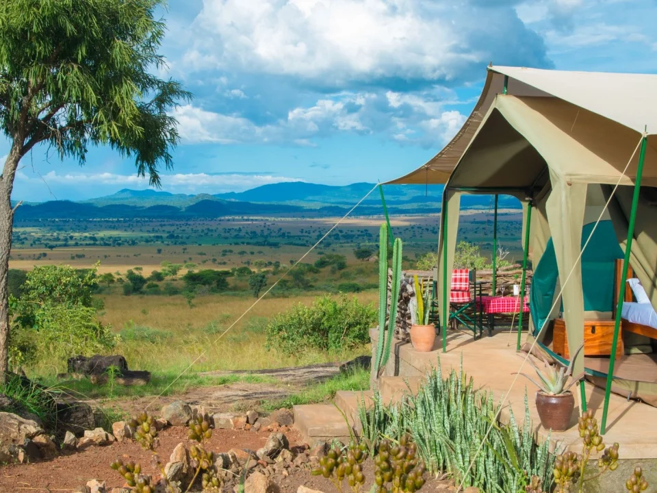 tented-camps-vs-lodges-in-uganda-whats-the-experience-like