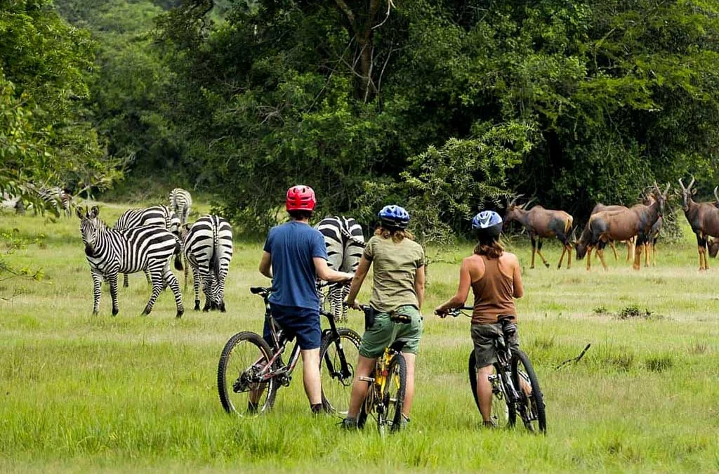 things-to-do-around-lake-mburo-national-park
