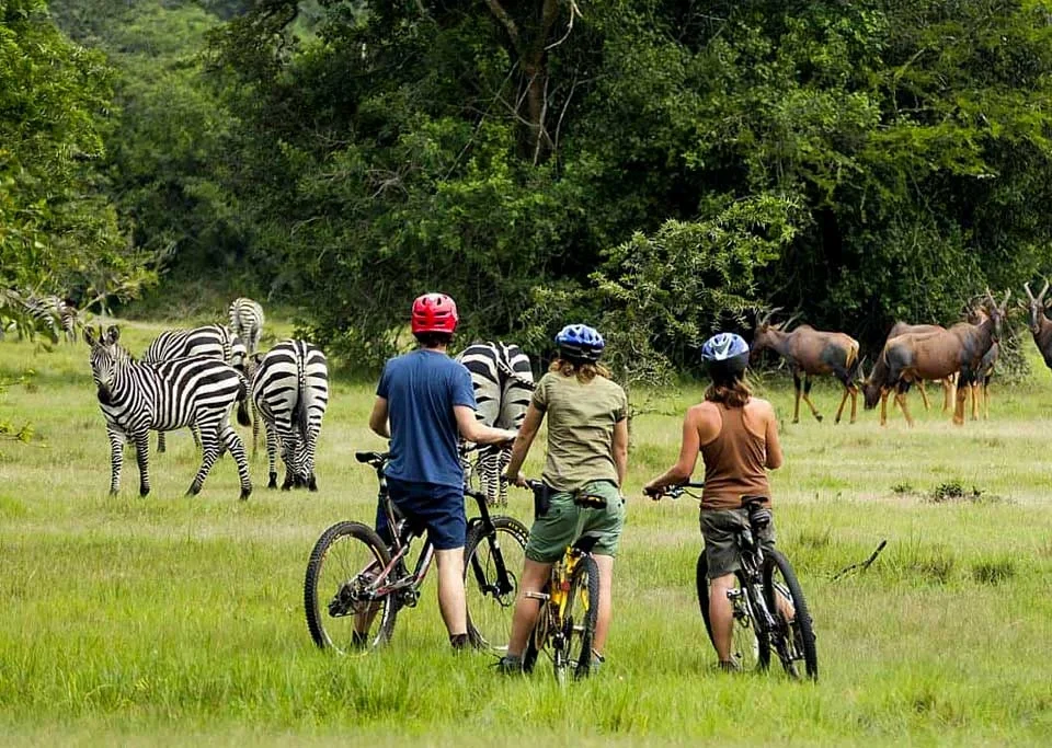 things-to-do-around-lake-mburo-national-park