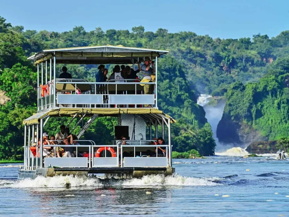 what-to-see-during-boat-cruise-in-murchison-falls