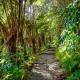exploring-volcanoes-national-park