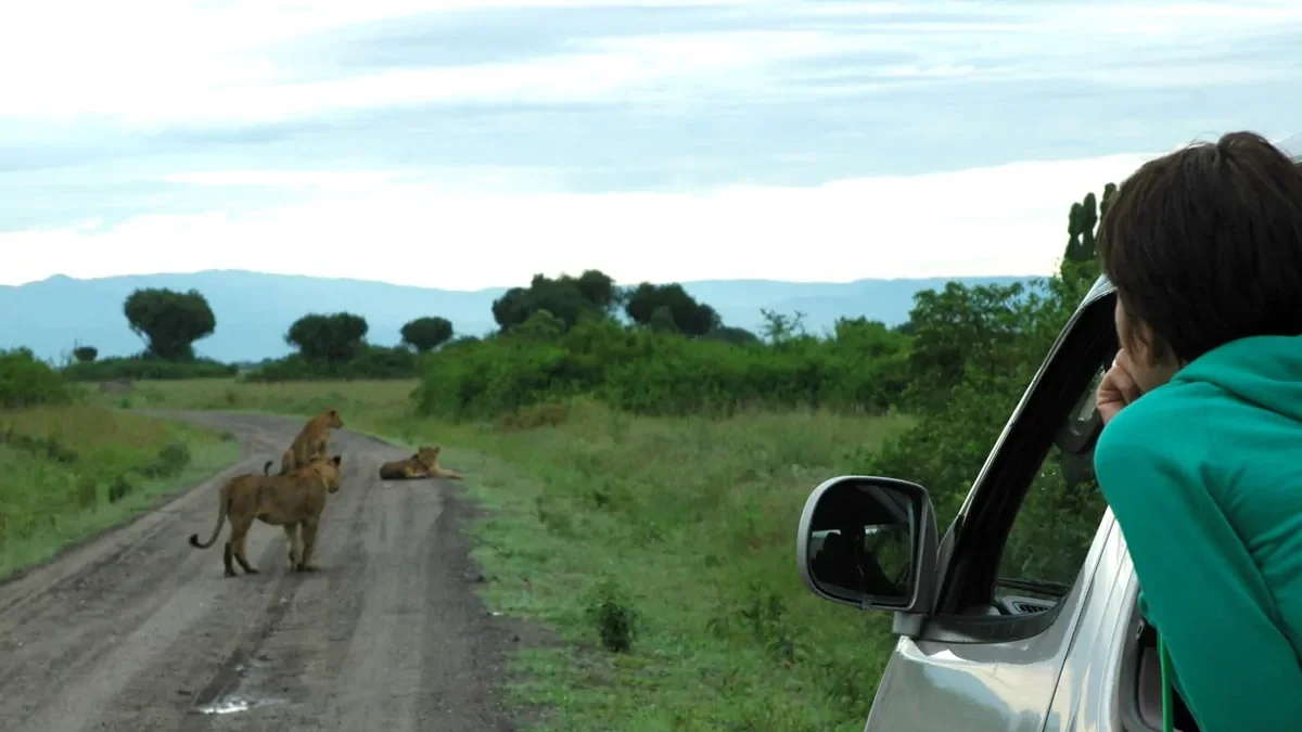 internet-and-mobile-data-connection-in-on-uganda-safari