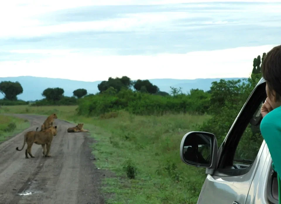 internet-and-mobile-data-connection-in-on-uganda-safari