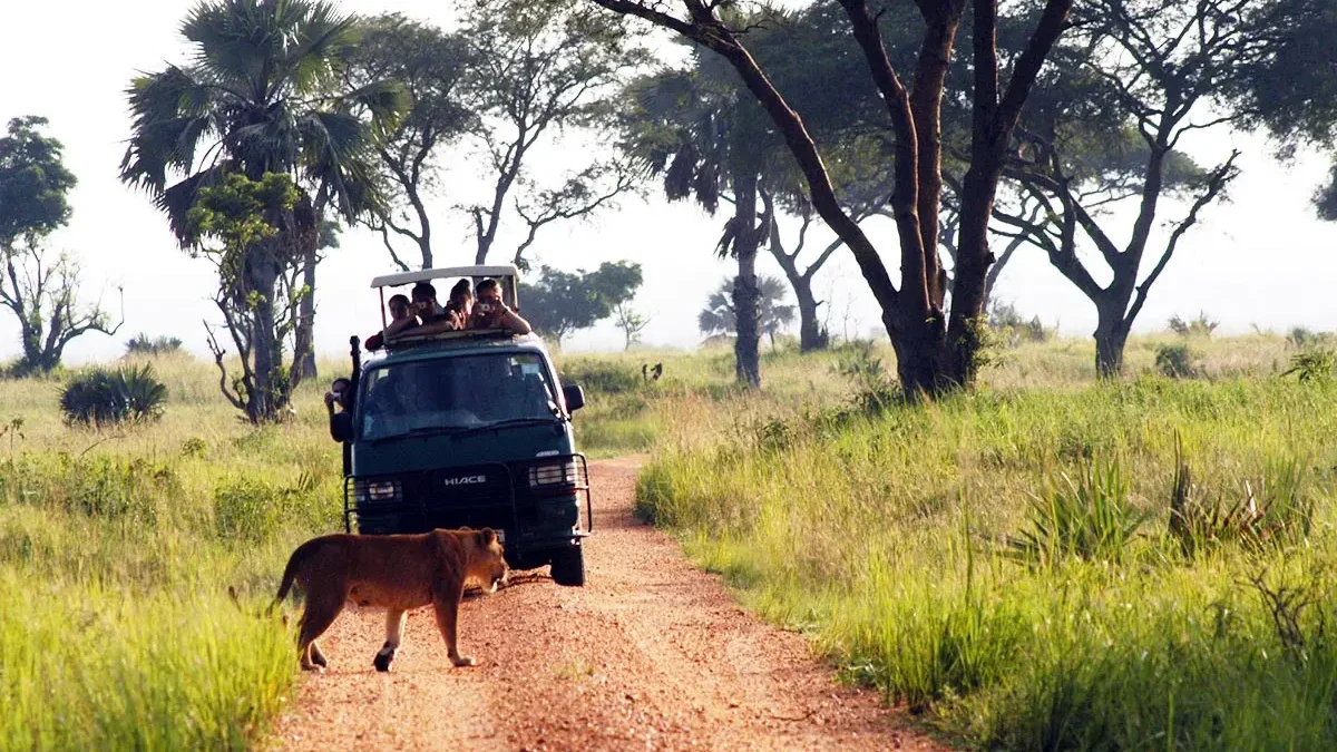uganda-wildlife-safaris-with-big-five-game-drives