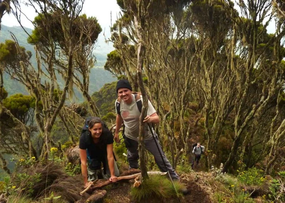 climbing-the-virunga-volcanoes-mount-bisoke-hike-guide