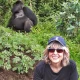 gorilla-trek-in-africa