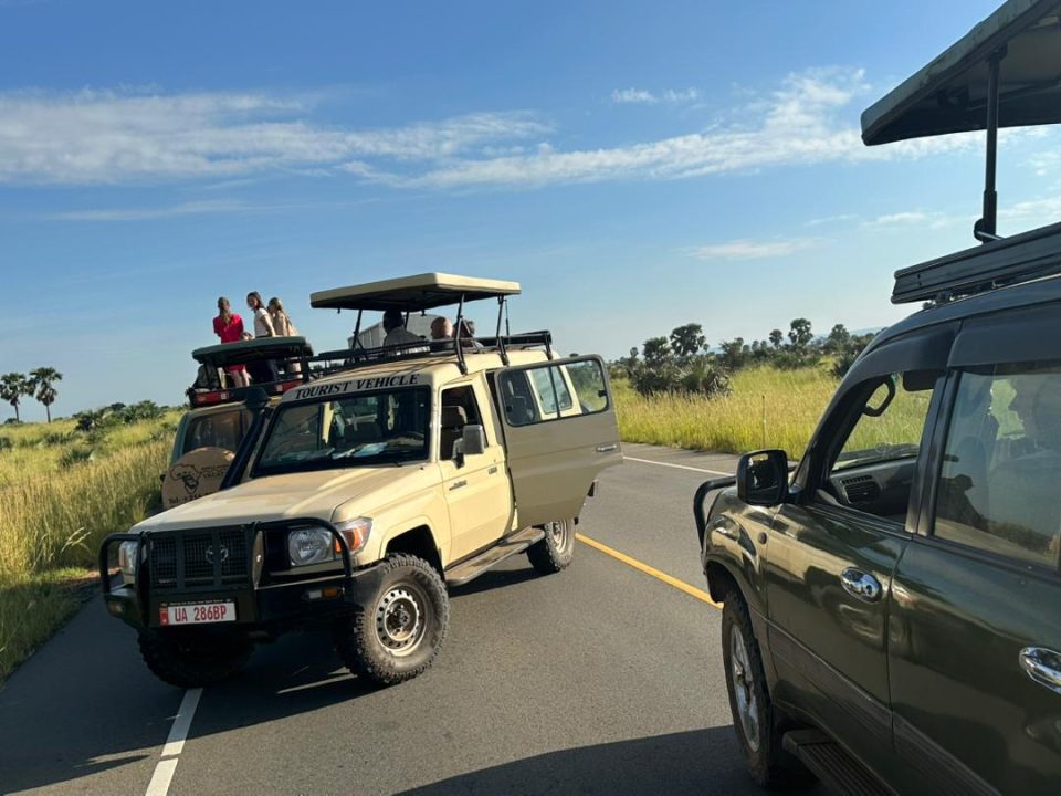 kigali-to-murchison-falls-safari