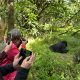 kigali-to-mgahinga-gorilla-national-park-safari